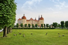 Moritzburg